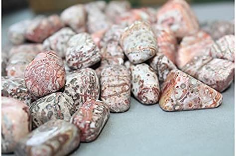 Miniatura 5 de Jet - Piedra pulida auténtica de piel de leopardo (una pieza), atractivas piedras auténticas de aproximadamente 0.71-1.06 oz (jaspe de piel de