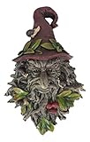 Ebros Gift Nature Spirit God Celtic Winter Solstice Toadstool Greenman with Magical Sorting Hat Hanging Wall Decor Plaque 10' H Wiccan Tree of Life Forest Horned God Ent Mythical Fantasy Sculpture