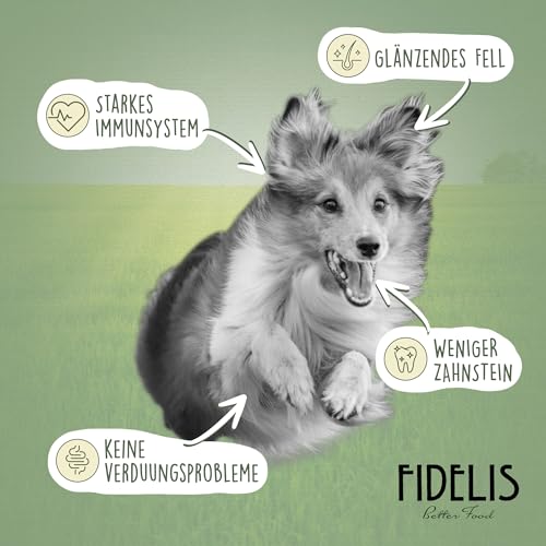 Fidelis – Gekochtes Frische-Menü für Hunde mit Ente, Süßkartoffel, Birne & Cranberries (400g Glas) – Hundefutter nass mit 70% Fleischanteil & frischen Zutaten–Nassfutter ohne Zusätze.
