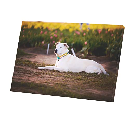 Affiche Labrador Retriever tableau de complicité canine format 60x40