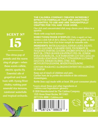 Image of Caldrea Dish Soap, Biodegradable Dishwashing Liquid made with Soap Bark and Aloe Vera, Ginger Pomelo Scent, 16 oz