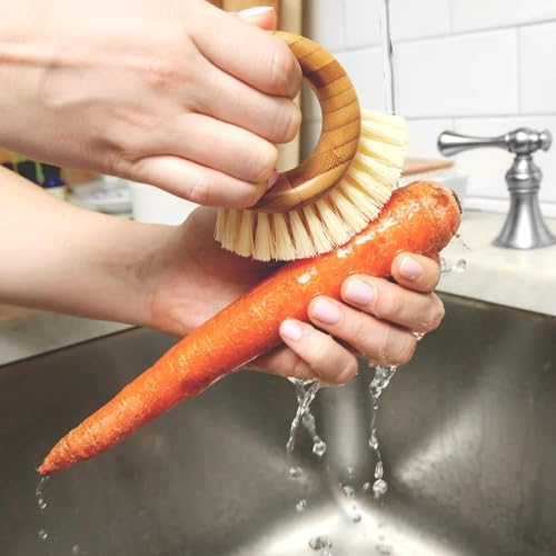 Full Circle The Ring Bamboo Vegetable and Fruit Cleaning Brush - A Versatile Scrubber for Food, Including Potatoes, Mushrooms, and Veggies with Recycled Bristles and Handle - Thumbnail 2