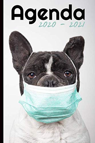 Télécharger Agenda Scolaire 2020 2021: Chien, bouledogue français | Agenda semainier, Format A5 | Pour les étu Gratuit