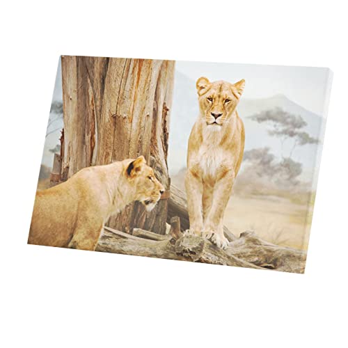 Toile Imprimée Lionnes Savane Afrique Poster Mural Inspirant 90x60 cm
