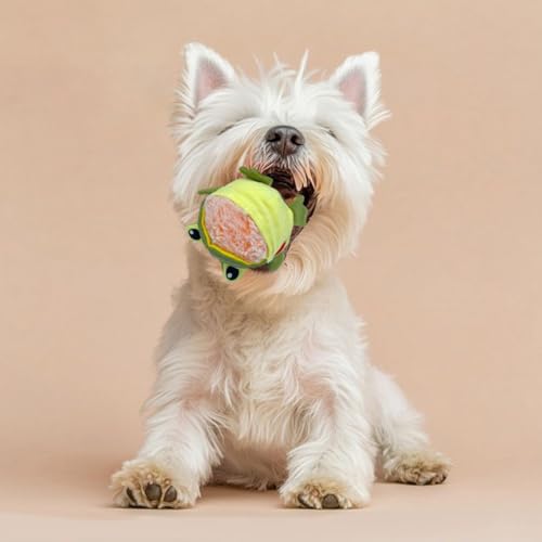 Brinquedos interativos para cães, tubarão e sapo, brinquedo para mastigar com cães estridentes e des