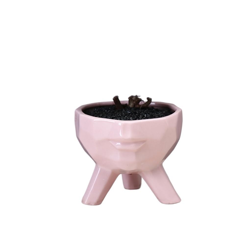 GELASIGE Flower Pots Simple And Creative Succulent Flowerpots, Home Gardening Flowerpots, Plant Ceramic Flowerpot Containers Outdoor Flower Pots(B)