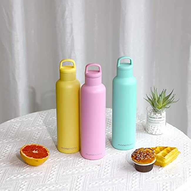 monomono 24oz Double Insulated Water Bottle With Handle Lid, Stainless Steel Gym & Sports Water Bottle for Men, Women & Kids, Hot and Cold, Leakproof, Toxic Free & BPA Free Water Bottle, Pastel Green