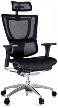 Amazon.co.jp: メーカー組立完成品 エルゴヒューマン フィット