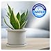 Aquatic Life RO Buddie 3-Stage Reverse Osmosis Aquarium Water Filter System RO Filtration Unit for Fish Tank, Fountains, and More, 100 GPD