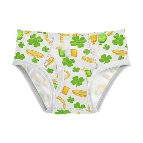 visesunny Boys Potty Training Underwear Saint Patricks Day Patterned Breathe Cotton Briefs Size 2T-8Y for Toddler