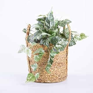 Indoor Wicker Flower Basket Plant Stand Waterproof Liner Plant Display Holder