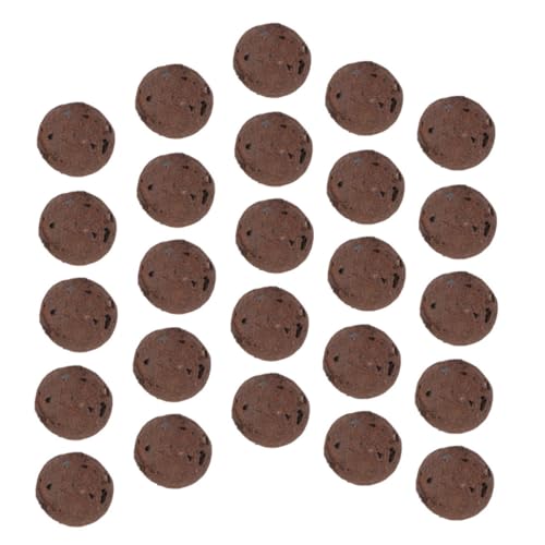 BESPORTBLE 1sacchetto Rocce Di Argilla Naturali Piccole Per Succulente Rocce Per Piante Decorative Terriccio Per Cactus e Piante Da Interno Pietre Succulente Per Fioriere