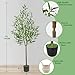 Warmplants Artificial Olive Tree, 5ft Tall Fake Olive Leaves Plant with Basket, Indoor Outdoor Faux Olive Topiary Silk Tree for Home Livingroom Office House Décor