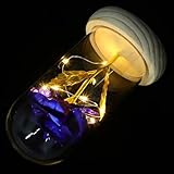 Couvercle en verre pour fleur préservée : la rose préservée, baignée d'une douce lumière, décorera avec élégance votre intérieur. ornement de fleur immortelle