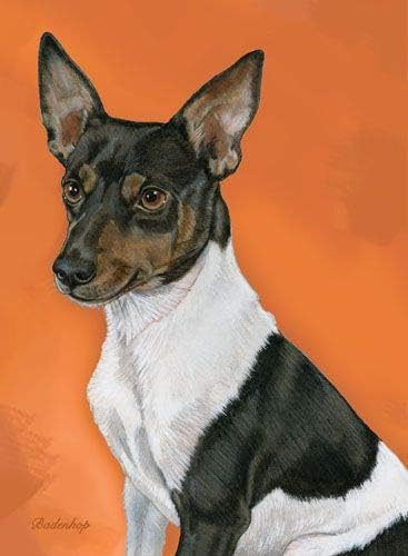 Rat Terrier Blank Note Cards Boxed