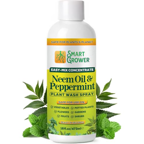 Neem Oil Spray for Plants with Peppermint Oil – for Indoor & Outdoor Plants, Gardens, & Houseplants– Best Value Refill 16 oz Concentrate Makes 2 Gallon RTU