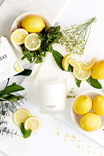 Apotheke Meyer Lemon Mint Candle, 1 Ea #TOP2