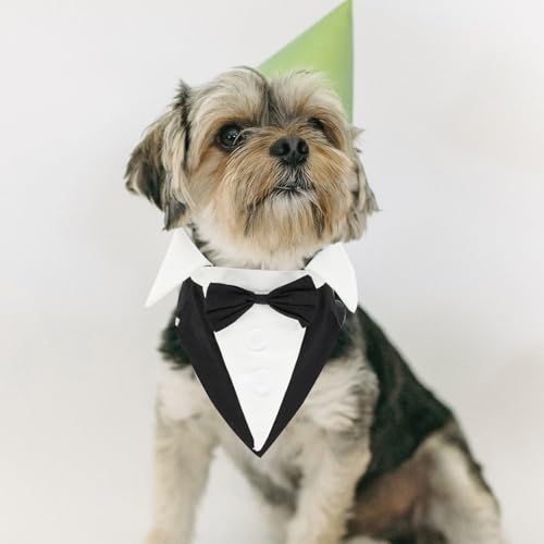 Disfraz formal para perro Tuxedo talla L negro miniatura 3