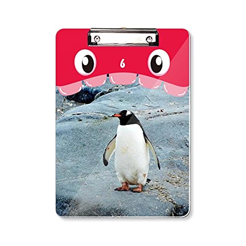 Dossier à tête plate pingouin antarctique en pierre de nature pour révision d'apprentissage A4