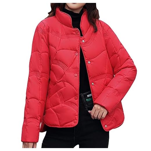 Générique Doudoune Femme Pas Cher Doudoune Matelassée Pliable Blouson Doudounes Legeres Courtes Mi Saison Hiver Longues Manches Doudoune Doux Confort Outdoor