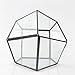 NCYP Geometric Glass Terrarium Planter - 5.5 x 5.5 x 9 Inches - Diamond Shape Flower Pot for Succulent Air Plant - Home, Office Desktop Decoration Terrarium, Black (No Plants Included)