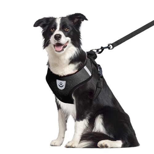 shudyear Dog Walking Chest Harness and Leash, Anti-Escape Adjustable Soft Mesh Dog Leash and Harness Set for Small Dog and Puppies, Vest for Medium Sized Dogs (Black, XL)