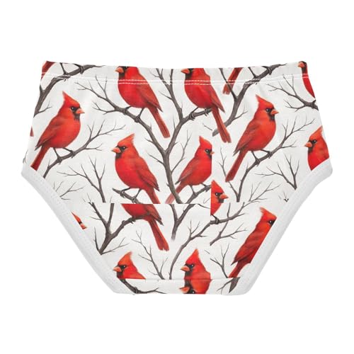 Joisal Pattern Toddler Underwear Floral 2t Cotton Panties Little Girl Bright Red Birds White Undies Kids Briefs2