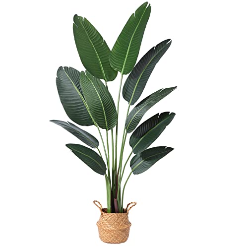 Ferrgoal Artificial Bird of Paradise Plants 5Ft Fake Tropical Palm Tree with 10 Trunks in Pot and Woven Seagrass Belly Basket Perfect Faux Plant for Home Indoor Outdoor Office Modern Decor Green… Ferrgoal Artificial Bird of Paradise Plants 5Ft Fake Tropical Palm Tree with 10 Trunks in Pot and Woven Seagrass Belly Basket Perfect Faux Plant for Home Indoor Outdoor Office Modern Decor Green…