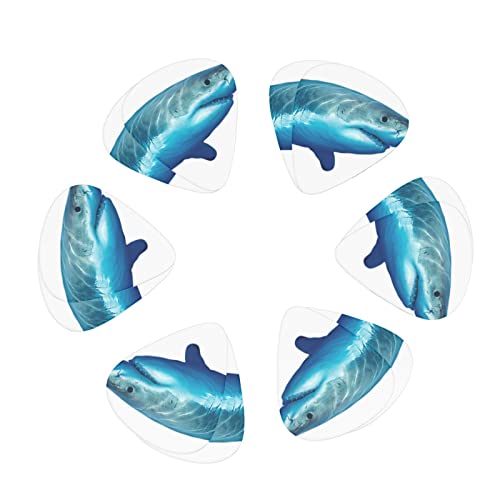 Pack de 12 médiators de guitare grand requin blanc pour guitare électrique guitare acoustique diverses guitares - Les Beatles, Paul McCartney, John Lennon, RIngo Starr, George Harrison Pack de 12 médiators de guitare grand requin blanc pour guitare électrique guitare acoustique diverses guitares