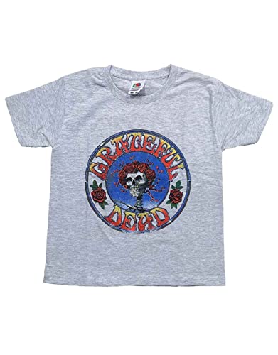 Grateful Dead Kids T Shirt Bertha Circle Vintage Wash Official Ages 3-14 Yrs Grey