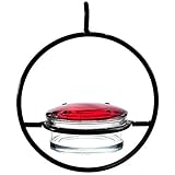 Best Small Hanging Hummingbird Feeder - Beautiful Glass & Decorative Metal Design - Attracts Hummers Like Crazy - 100% Guaranteed!