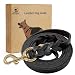 Fairwin Leather Dog Leash 6 Foot - Best Braided Military Grade Heavy Duty Dog Leash for Large Medium Small Dogs Training and Walking (3/4" Width, Black)