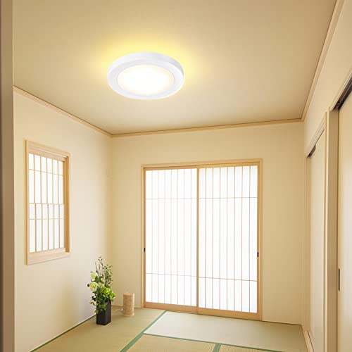 Mingbright 7.5Inch Flush Mount Led Ceiling Light Fixture, 3 Colors Switchable By Build-In Toggle Switch, Edge-Lit Slim Led Panel Light, For Bathroom, Kitchen, Closet Room, Hallway #TOP1