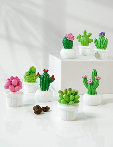 Imanes decorativos cactus 3D set 12 unidades miniatura 3