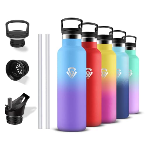 Gourde- 500ml- Gourde Isotherme, Bouteille Isotherme Anti Fuite, Bouteille Inox sans Bpa, Double Isolation, Bouteilles Isothermes Avec Poignée, Bouteille d'eau pour Randonnée, Camping, Sport, Voyage