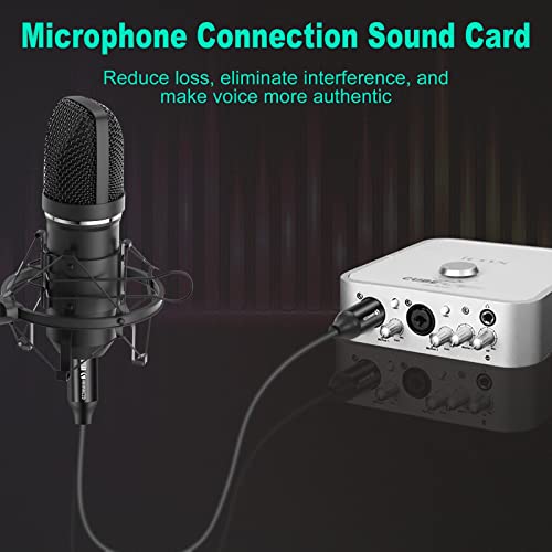 Annnwzzd Xlr Cable 10Ft 2 Pack,3-Pin Xlr Male To Female Microphone Cables Extender Cord For Studio Recorder Amplifier Mixer Speaker Professional Recording Live Stage #TOP1