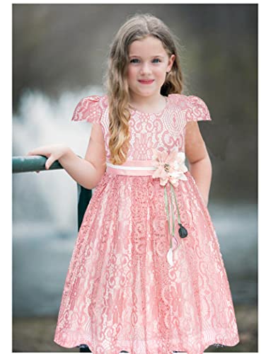 Little Girls Cap Sleeves 3D Flower Lace Wedding Flower Girl Birthday Party Christing Party Dress,Pink,5-6 #TOP5