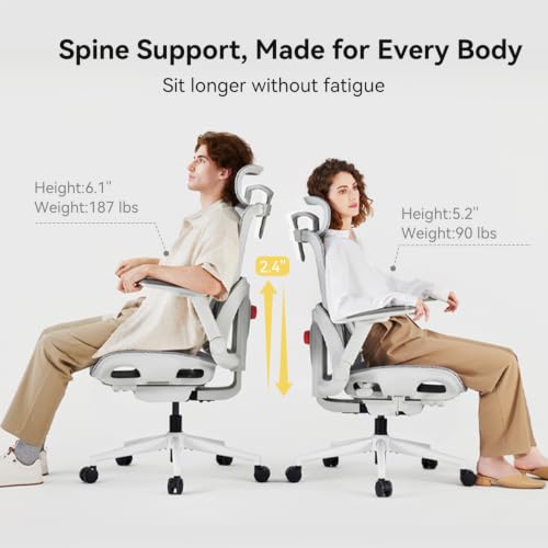 Image of SIHOO B300 Pro Ergonomic Office Chair Without Footrest, 4D Lumbar Support