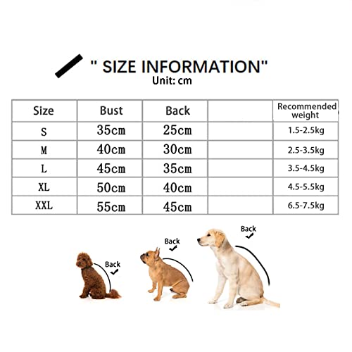 Chaqueta impermeable de doble capa para perros pequeños que odian mojarse 3