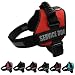 ALBCORP Reflective Service Dog Vest / Harness, Woven Polyester & Nylon, Comfy Soft Padding, LARGE, RED