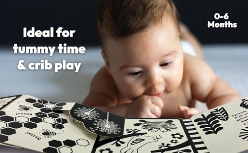 Image of Look, Look, Baby! Forest: Black and White High Contrast Tummy Time Book for Newborns