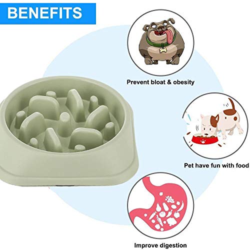 Slow Feeder Bowl, Dotpet Fun Interactive Feeder Bloat Stop Dog Bowl Preventing Feeder Anti Gulping Drink Water Bowl Fan Shape Healthy Eating Diet For Puppy Dog Pet (Green) #TOP3