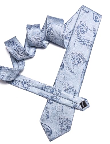 Image of Barry.Wang Paisley Tie for Men Silk Woven Necktie and Tie Clip Set Wedding Party Business Formal