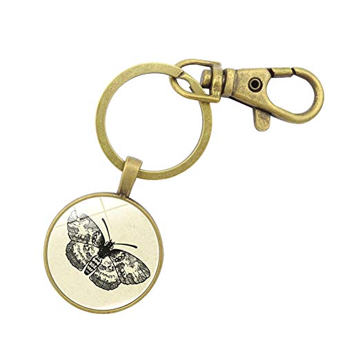 Preisvergleich Produktbild Tonpot Schmetterling Muster Schlüsselanhänger Metall Schlüsselanhänger Rund Anhänger Schlüsselanhänger Auto Schlüsselanhänger Tasche Schlüsselring Kette Mädchen Silber Gold, metall, gold, 9.2 * 2.5cm