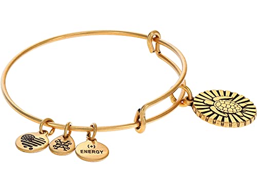 Alex and Ani Sea Turtle II Bracelet - Main Image
