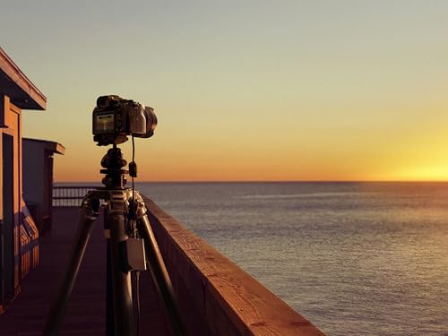 Sony DC-C1 DC Coupler - DCC1.CE7 (USB Power Delivery Adapter f&uuml;r Kameras mit NP-FZ100 oder NP-FW50, Ideal f&uuml;r Dauerbetrieb, Streaming & Studioaufnahmen, kompatibel mit Sony Alpha- und FX-Modelle)