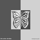 The Echo Divides