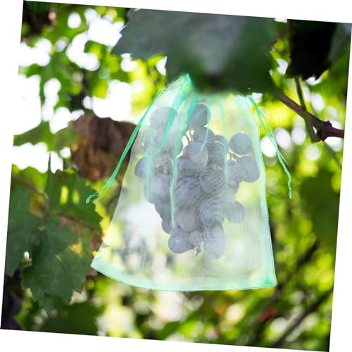 Review de Antiplagas natural jardin los mejores 10. 26 Imagen adicional