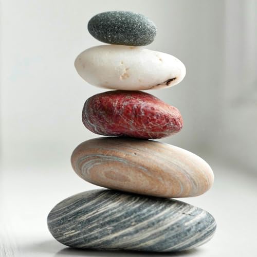 Whole Life Studio Titelbild