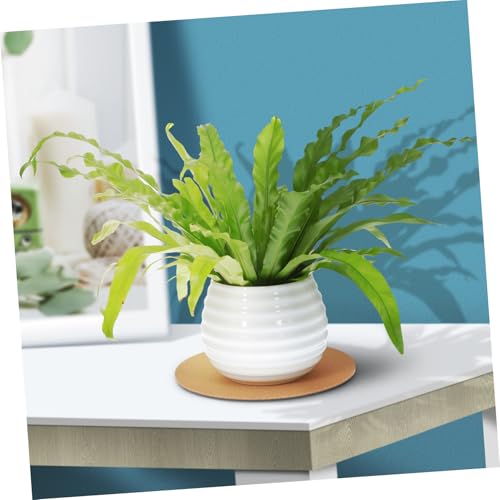Dessous pour plantes Mikikit : 12 tapis en liège rond pour pot de fleur